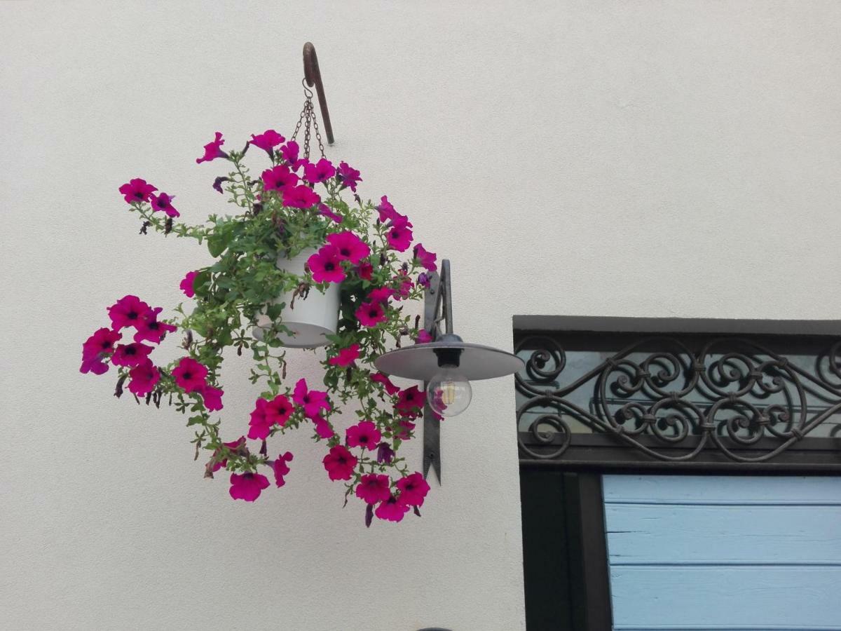 Tambien B&B Pesaro Zewnętrze zdjęcie